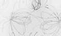 Petali